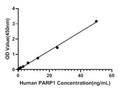 Novus Biologicals&trade;&nbsp;Human PARP ELISA Kit (Colorimetric)